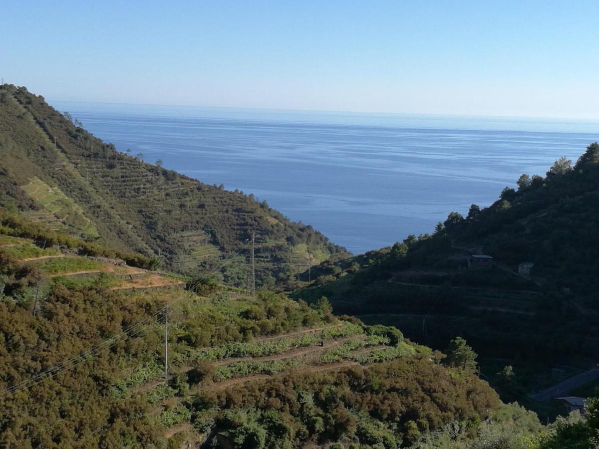 Willa ☆ Terrace & Relax ☆ Casa Franceschin_ Homy 5 Terre Riomaggiore Zewnętrze zdjęcie