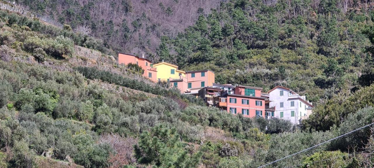 Willa ☆ Terrace & Relax ☆ Casa Franceschin_ Homy 5 Terre Riomaggiore Zewnętrze zdjęcie