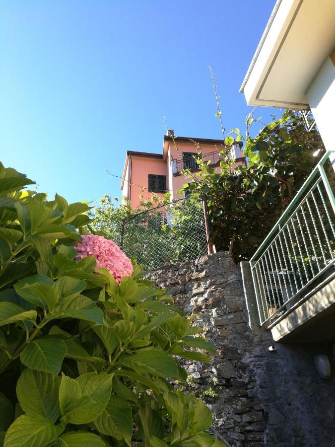 Willa ☆ Terrace & Relax ☆ Casa Franceschin_ Homy 5 Terre Riomaggiore Zewnętrze zdjęcie