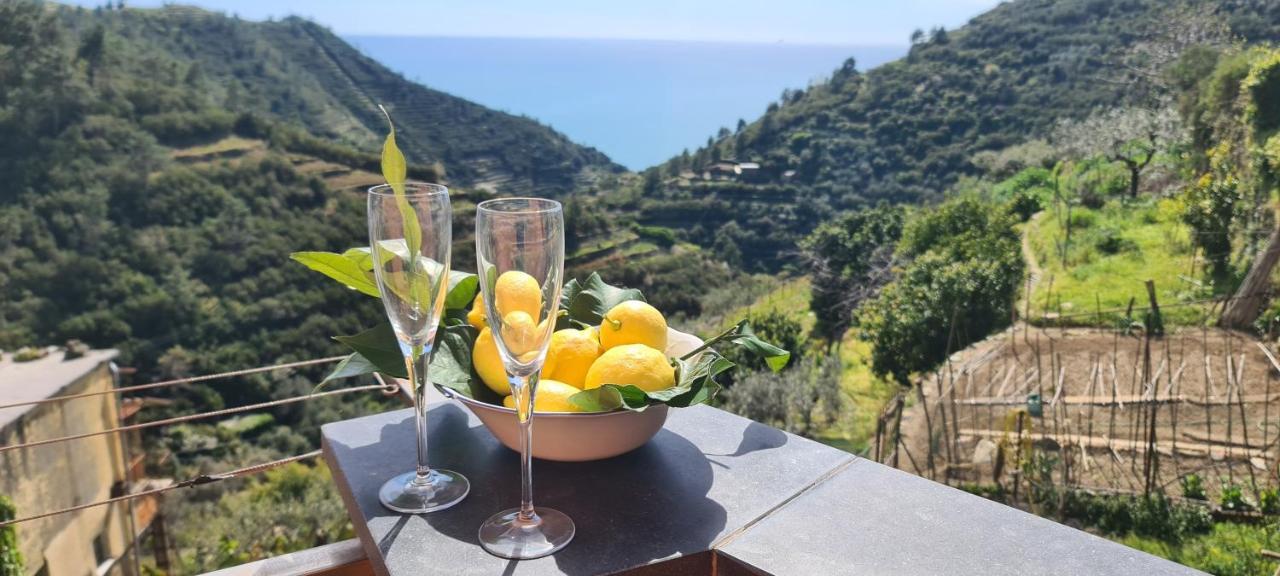 Willa ☆ Terrace & Relax ☆ Casa Franceschin_ Homy 5 Terre Riomaggiore Zewnętrze zdjęcie